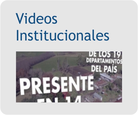 Videos Institucionales